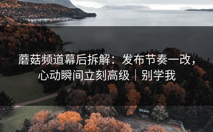 蘑菇频道幕后拆解：发布节奏一改，心动瞬间立刻高级｜别学我